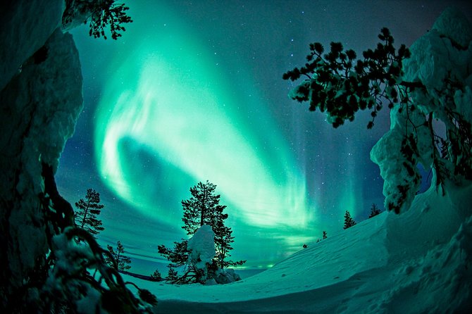 Northern Lights Snowmobile Driving Safari - Who Should Book This Northern Lights Snowmobile Safari—and Who Should Rethink It