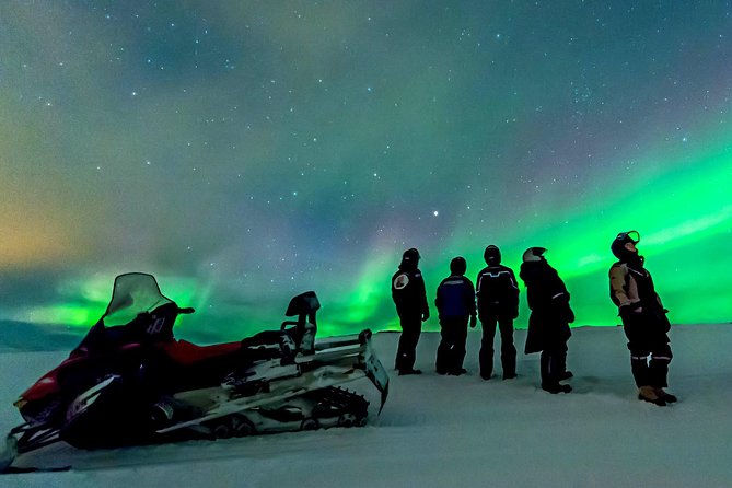 Northern Lights Snowmobile Safari from Rovaniemi with Campfire Picnic - Key things to know before you go