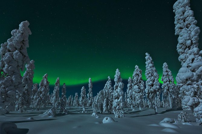 Northern Lights Snowmobile Safari from Rovaniemi with Campfire Picnic - First Stop: Check-in, Warm Gear, and a Proper Safety Brief