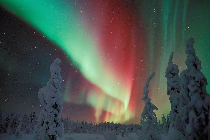 Northern Lights Snowmobile Safari from Rovaniemi with Campfire Picnic - Campfire Picnic with Makkara Sausages: Warmth, Food, and Hangout Time