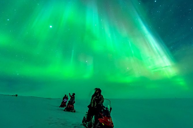Northern Lights Snowmobile Safari from Rovaniemi with Campfire Picnic - Who Should Book This Safari—and Who Might Prefer Something Else