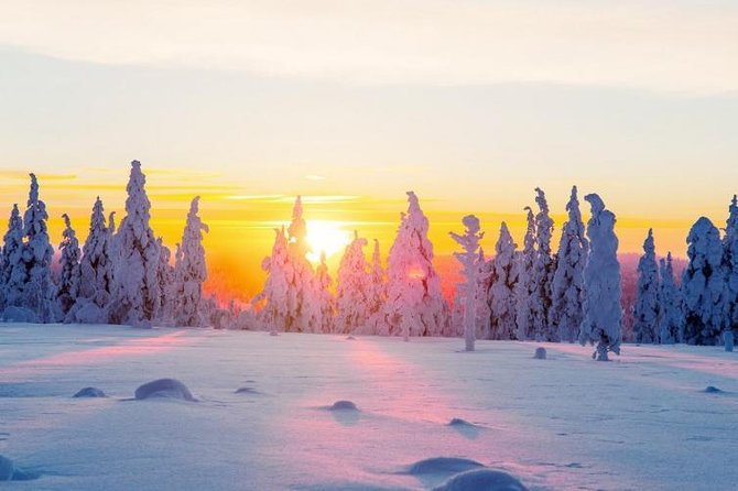 Ounasvaara and Ranua Zoo - Ounasvaara’s short hike: the part that sets the tone