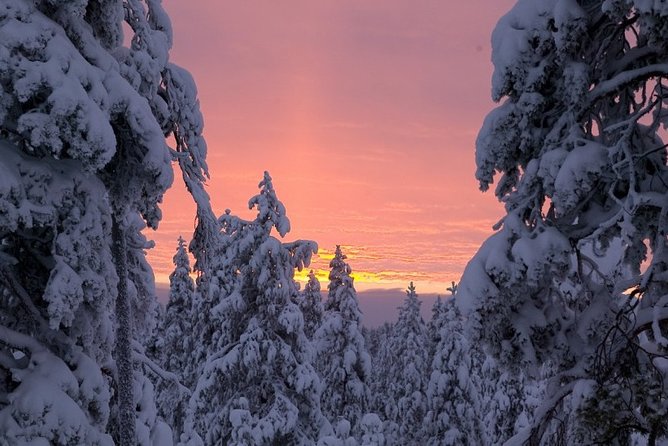 Ounasvaara and Ranua Zoo - Weather and your best odds of a smooth day
