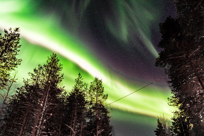 Private Aurora Tour (5 or more) by Aurora Experts - Rovaniemi - Aurora photography help: what the guide adds to your results