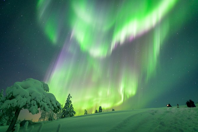 Private Aurora Tour (5 or more) by Aurora Experts - Rovaniemi - Timing matters: why the 11–12 window is the real target