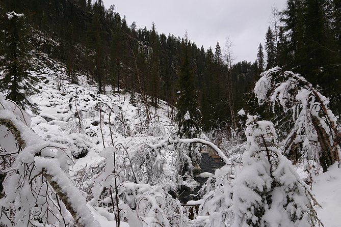 Private Korouoma Canyon Tour - What the guide adds: more than route-finding