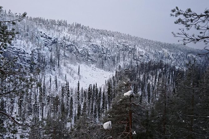 Private Korouoma Canyon Tour - Private transportation and the 9:00 am plan from Rovaniemi