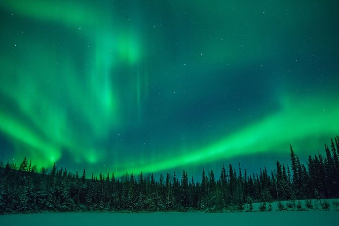 Private Northern Lights Hunting Tour Rovaniemi - Why This Private Aurora Hunt Feels More Worth It