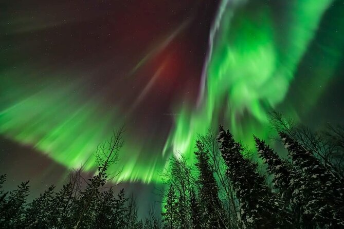 Private Northern Lights Hunting Tour Rovaniemi - No Cabin, No Tents, No Washroom: The Cold-Weather Reality Check