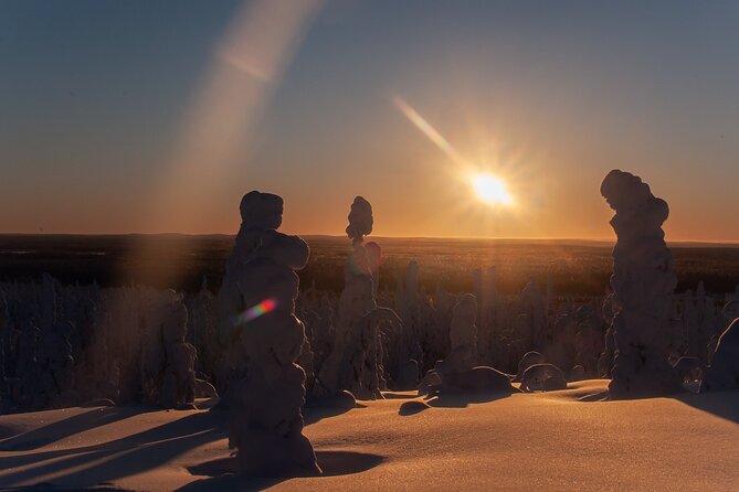 Private Snowshoe or Ski Adventure in Lapland from Rovaniemi - Key highlights you’ll feel right away