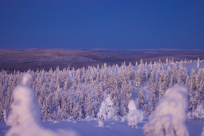 Private Snowshoe or Ski Adventure in Lapland from Rovaniemi - The two route styles: near-Rovaniemi challenge vs remote Lapland cotton trees