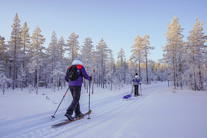 Private Snowshoe or Ski Adventure in Lapland from Rovaniemi - Animal tracks, forest reading, and the fun of spotting what others miss