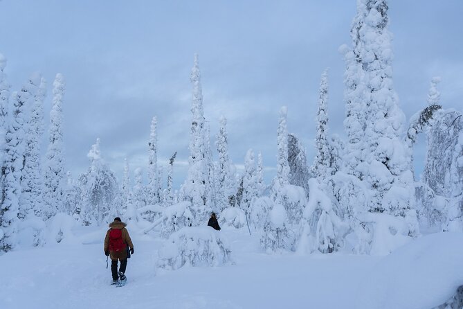 Private Snowshoe or Ski Adventure in Lapland from Rovaniemi - The open-fire Finnish snack break: warm drinks and real Arctic know-how