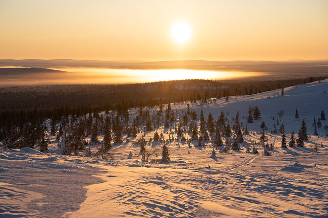 Private Snowshoe or Ski Adventure in Lapland from Rovaniemi - Pickup, meeting point, and getting there without stress