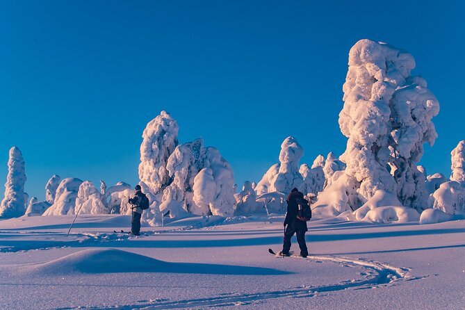 Private Snowshoe or Ski Adventure in Lapland from Rovaniemi - Snowshoe or ski: picking the right winter activity mood