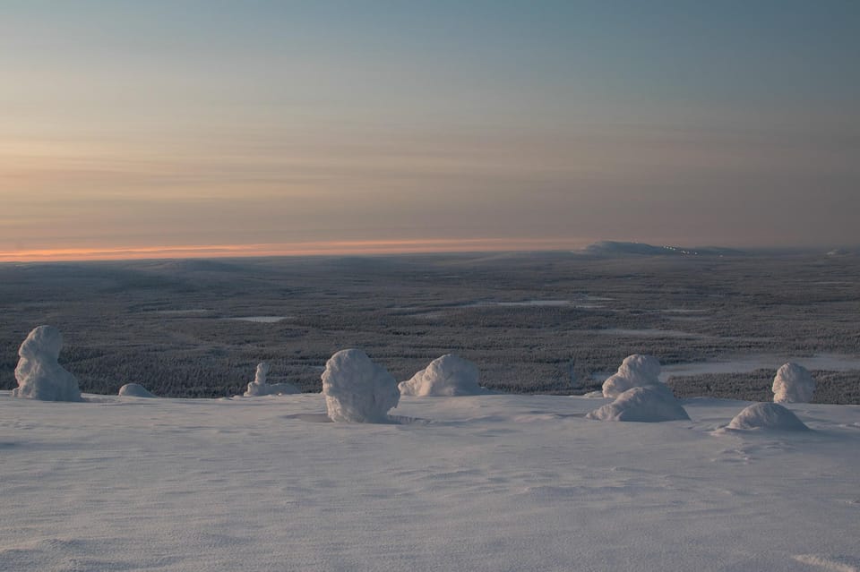 Pyhätunturi: Scenic Snowshoeing Tour in Finnish Lapland - The guided walk in Pyhä-Luosto National Park (about 1 hour 45)
