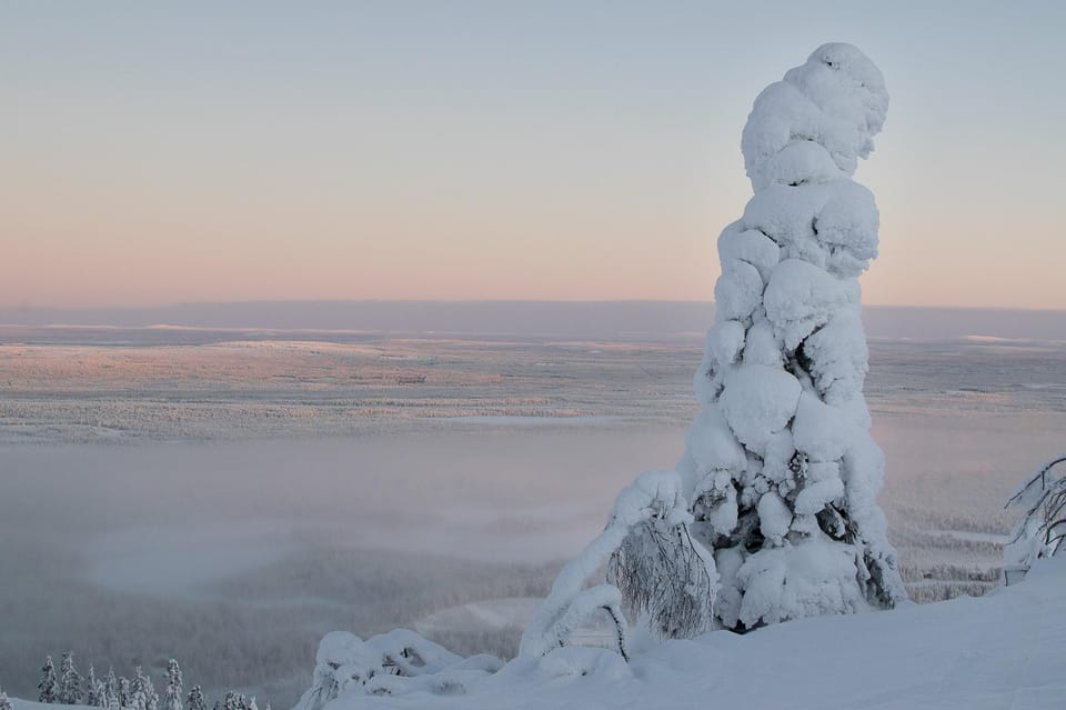 Pyhätunturi: Scenic Snowshoeing Tour in Finnish Lapland - What you’ll learn: Arctic stories with useful context