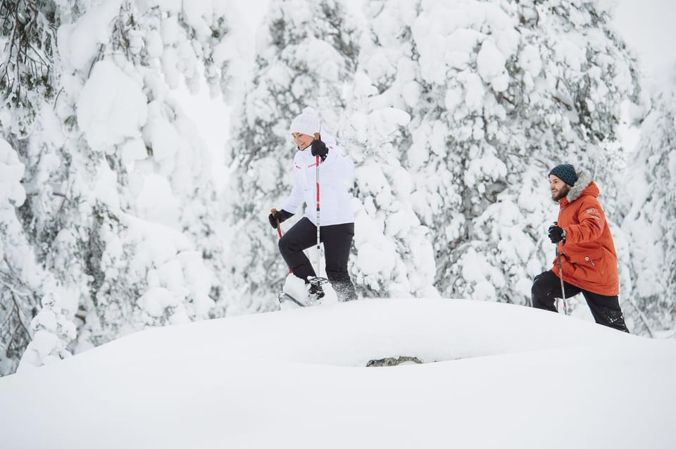 Pyhätunturi: Scenic Snowshoeing Tour in Finnish Lapland - Clothing and gear: how to stay warm without overpacking