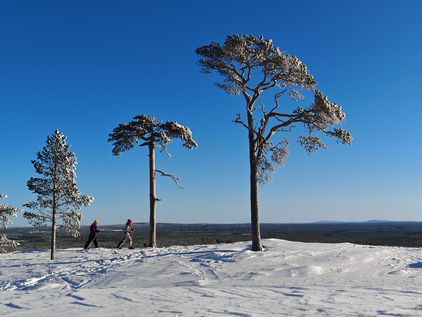Pyhätunturi: Try Wilderness Skiing in Finnish Lapland - Where You Meet: Hotel Pyhätunturi and Getting There From Rovaniemi