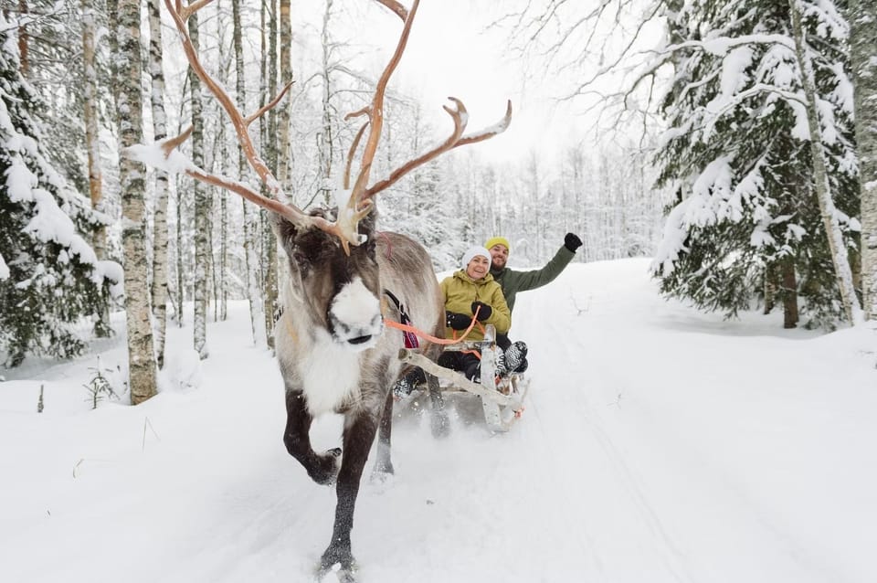 Reindeer Farm Visit with Sleigh Ride - Staying Warm and Comfortable: The One Mistake That Ruins Winter Fun