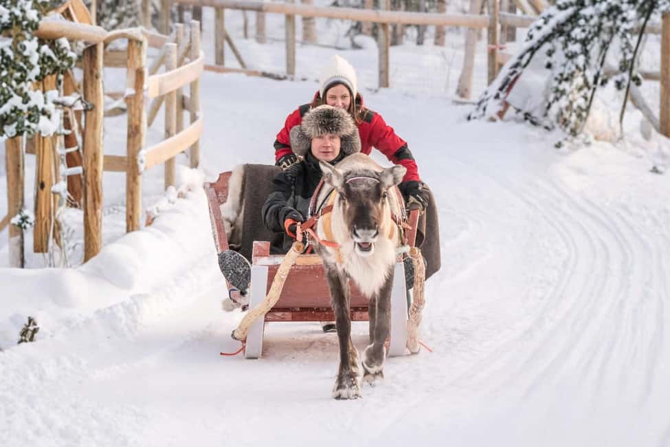 Reindeer Safari at a 200-Year-Old Farm & Long Sled Ride - Key Things to Know Before You Go
