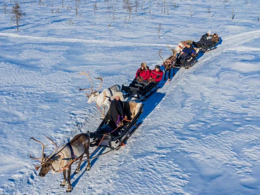 Reindeer Safari at a 200-Year-Old Farm & Long Sled Ride - A 200-Year-Old Lapland Farm: Why This Feels Personal
