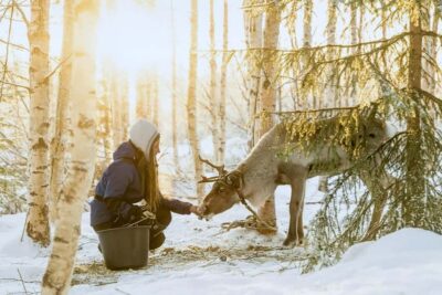 Reindeer Safari at a 200-Year-Old Farm & Long Sled Ride - Pickup, Winter Overalls, and the Cold You Should Actually Plan For