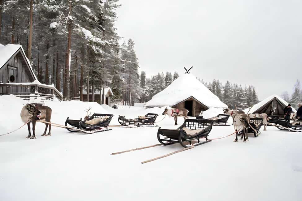 Reindeer Safari at a 200-Year-Old Farm & Long Sled Ride - Your Reindeer Driving License: A Fun, Symbolic Take on Herding Skills
