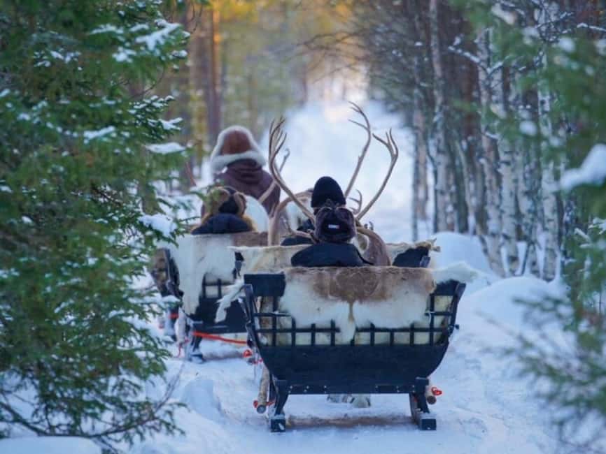 Reindeer Safari at a 200-Year-Old Farm & Long Sled Ride - What’s Included (and What That Actually Buys You)