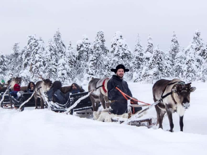 Reindeer Safari at a 200-Year-Old Farm & Long Sled Ride - Practical Tips That Make the Day Easier