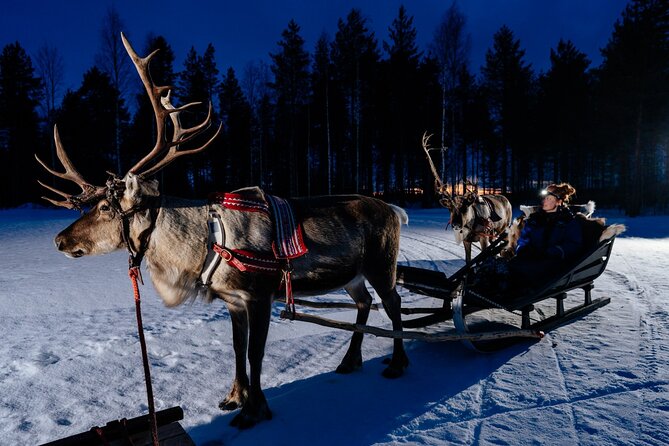 Reindeer Sleigh Ride Across the Night in Apukka Resort Rovaniemi - Why a night sleigh ride from Apukka is a smart Northern Lights bet