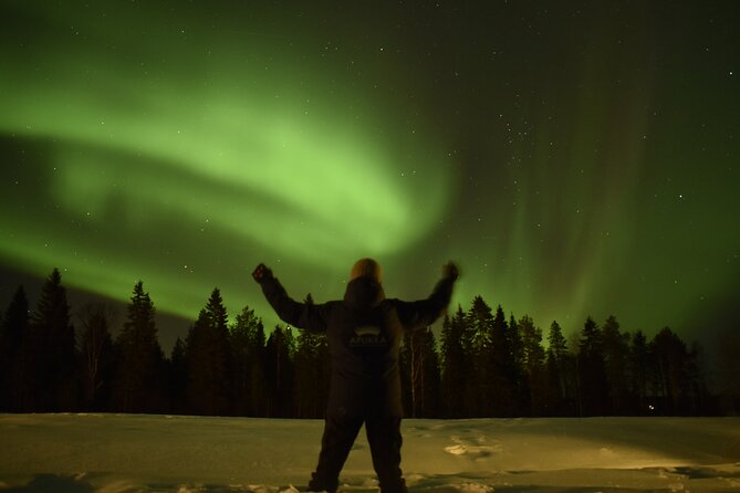Reindeer Sleigh Ride Across the Night in Apukka Resort Rovaniemi - The 3-hour flow: what happens from sleigh ride to warm break to return