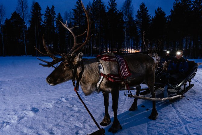 Reindeer Sleigh Ride Across the Night in Apukka Resort Rovaniemi - Staying warm: thermal gear, blankets, and the loose-layers rule