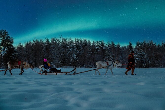 Reindeer Sleigh Ride Across the Night in Apukka Resort Rovaniemi - Who should book this and who might prefer a different night