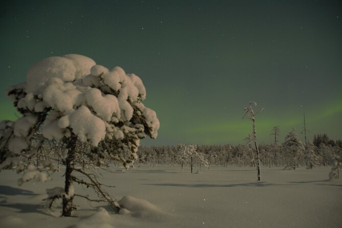 Reindeer Sleigh Ride Across the Night in Apukka Resort Rovaniemi - Should you book the Apukka night sleigh ride?