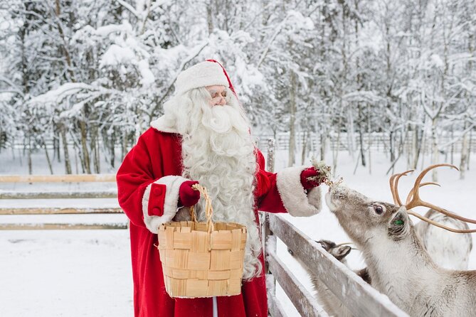 Reindeer Sleigh Ride and Farm Experience from Rovaniemi - Key Things to Know Before You Go