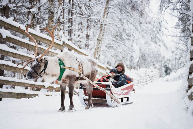 Rovaniemi 2 days Activities Package - Day 1: Arctic Circle Snowmobile Park, Training, Then Forest Time