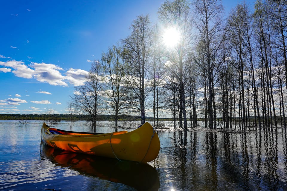 Rovaniemi: All-Day Canoe Adventure - Arctic Nature from a New Perspective: Wildlife and Scenery Without the Rush