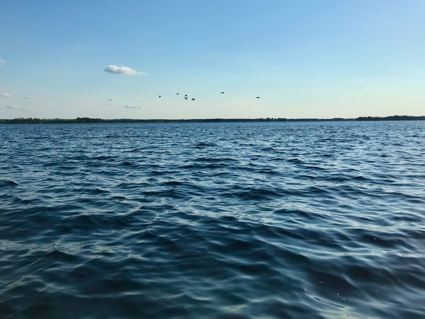 Rovaniemi: All-Day Canoe Adventure - What to Pack (and What Not To): Your Comfort Plan for Real Lapland Water
