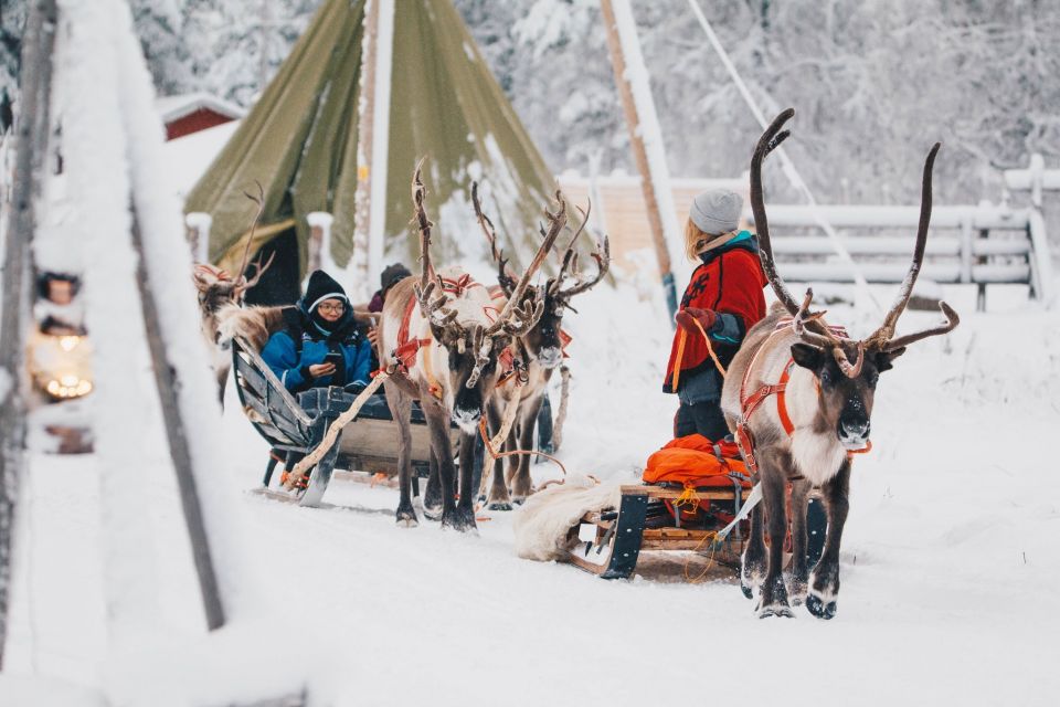 Rovaniemi: Apukka Reindeer Journey - Getting There from Rovaniemi City Center or Santa Claus Village