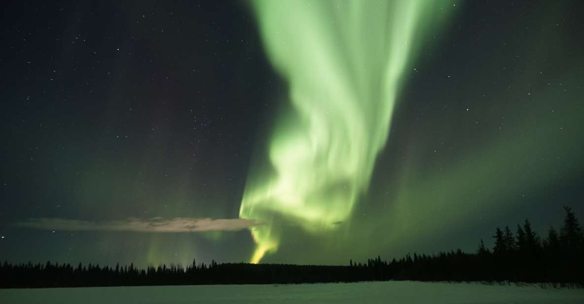 Rovaniemi: Aurora Borealis Hunting Photo Tour - How the 4-Hour Aurora Hunt Works from Rovaniemi