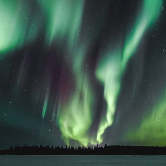 Rovaniemi: Aurora Borealis Hunting Photo Tour - The photographer guide: camera help you can actually use