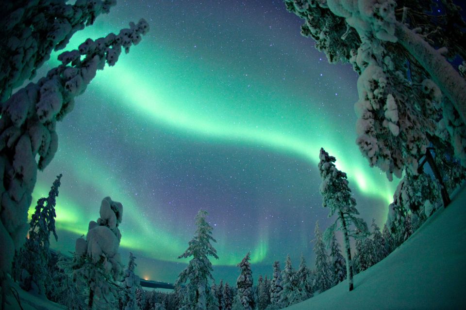 Rovaniemi: Aurora Borealis Hunting Photo Tour - Warm clothing, hot drinks, and the real comfort math