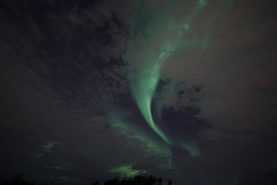 Rovaniemi: Aurora Borealis Tour - Price and Value: What $135 Buys You in Rovaniemi