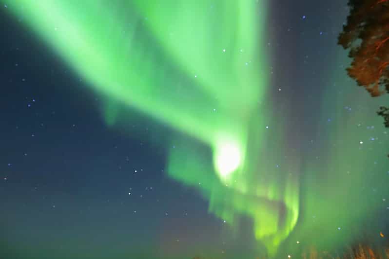 Rovaniemi: Aurora Borealis Trip – Autumn - Key things I’d focus on before booking
