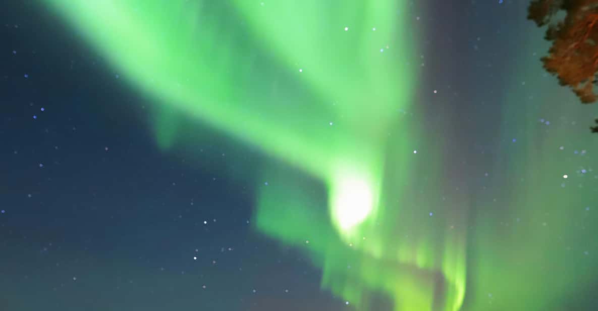 Rovaniemi: Aurora Borealis Trip – Autumn - Northern Lights in Rovaniemi: how the guide plans your night