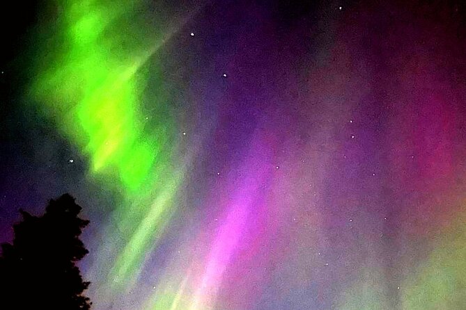 Rovaniemi: Aurora Hunting & Photography Tour - Key Points Before You Go