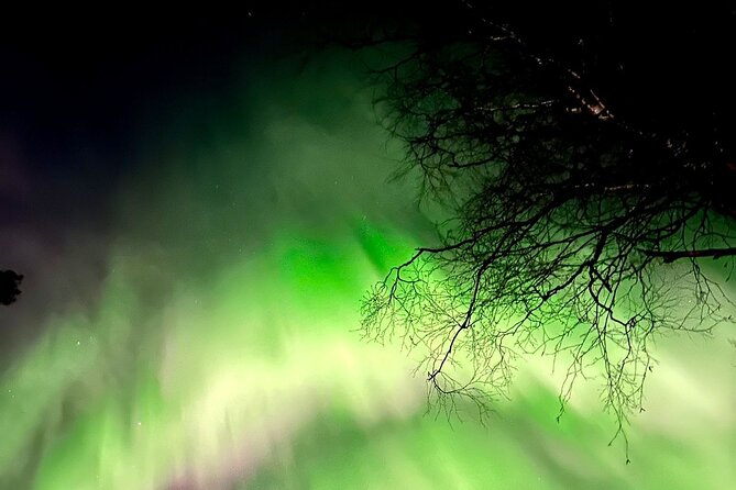 Rovaniemi: Aurora Hunting & Photography Tour - Meeting at Rovakatu: Timing, Pickup, and What to Expect