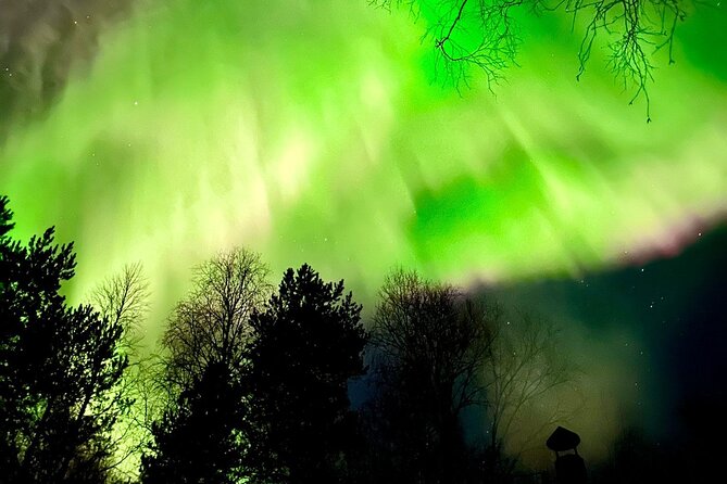 Rovaniemi: Aurora Hunting & Photography Tour - Guide Skills Matter: The Difference Between Seeing and Photographing