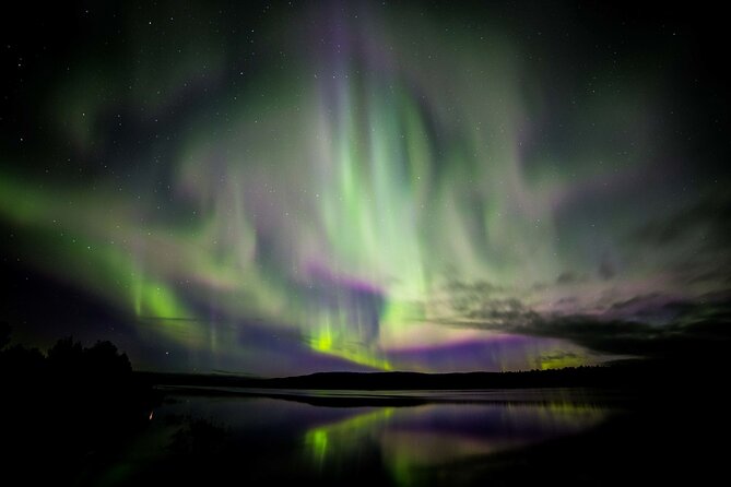 Rovaniemi Aurora Hunting Tour - Key things I’d bank on before you go